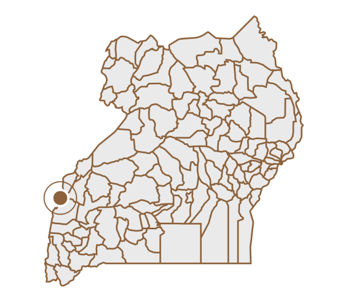 Location pin of Rwenzori Mountains on a custom map