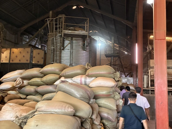 Inside view of a green coffee processing facility with machinery and sacks of coffee