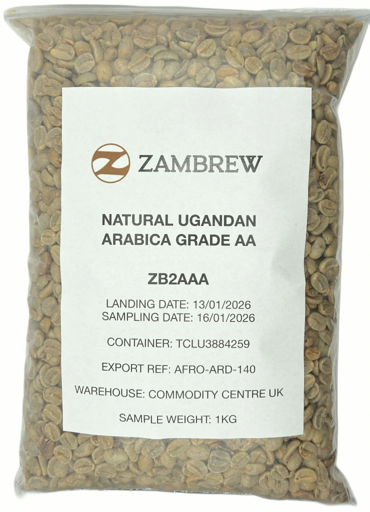 Untitled Project copy.webp