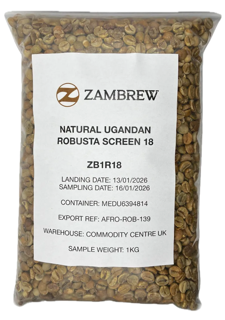 ZB1R18 Front Sample Img.webp