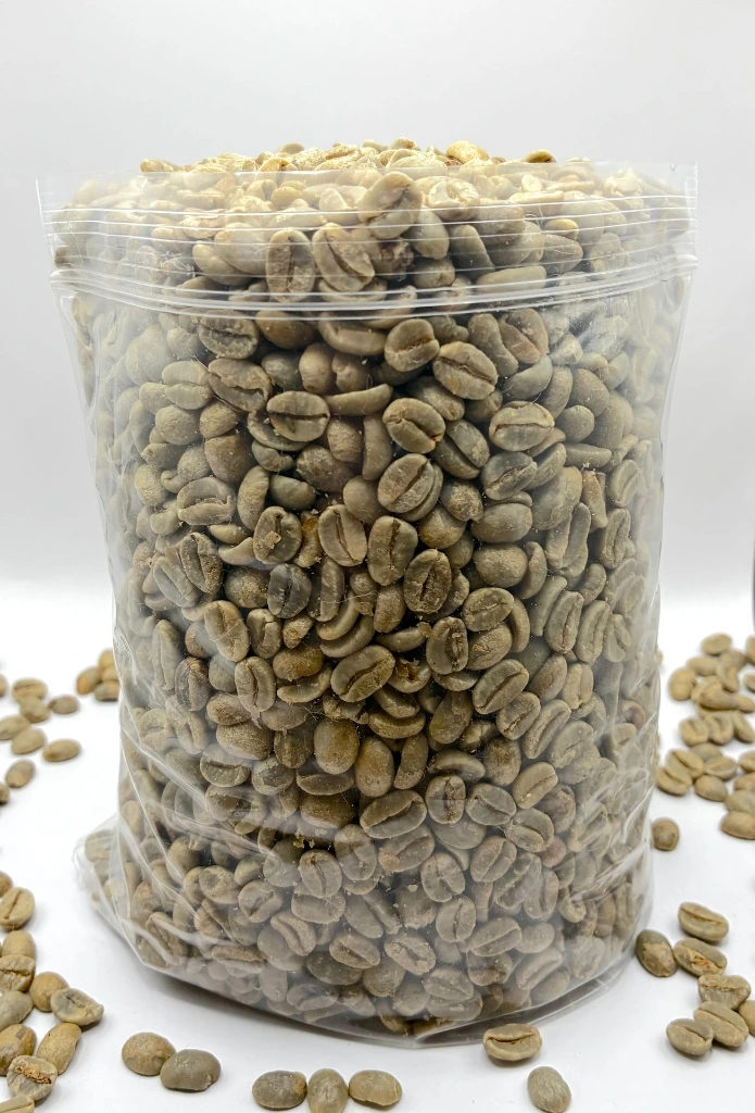 Untitled Project.webp