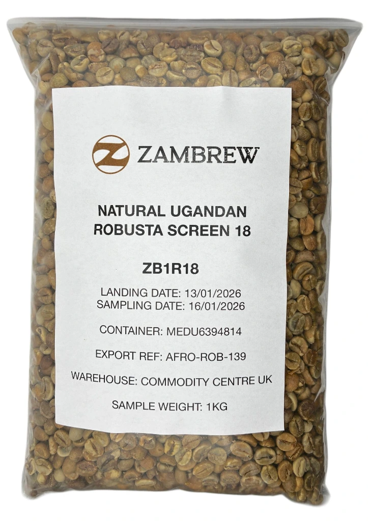 ZB1R18 Front Sample Img.webp