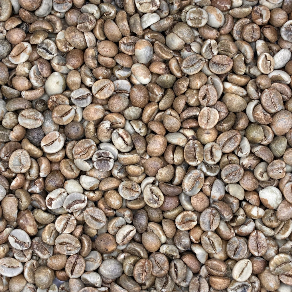 [ZB1R18] Natural Ugandan Robusta Screen 18