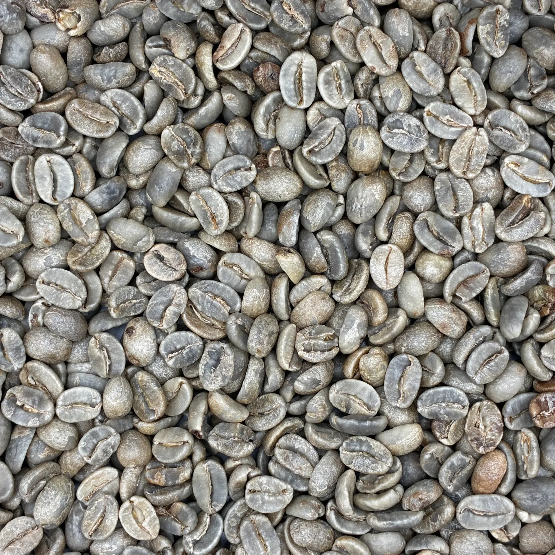 Natural Ugandan Arabica Grade AA