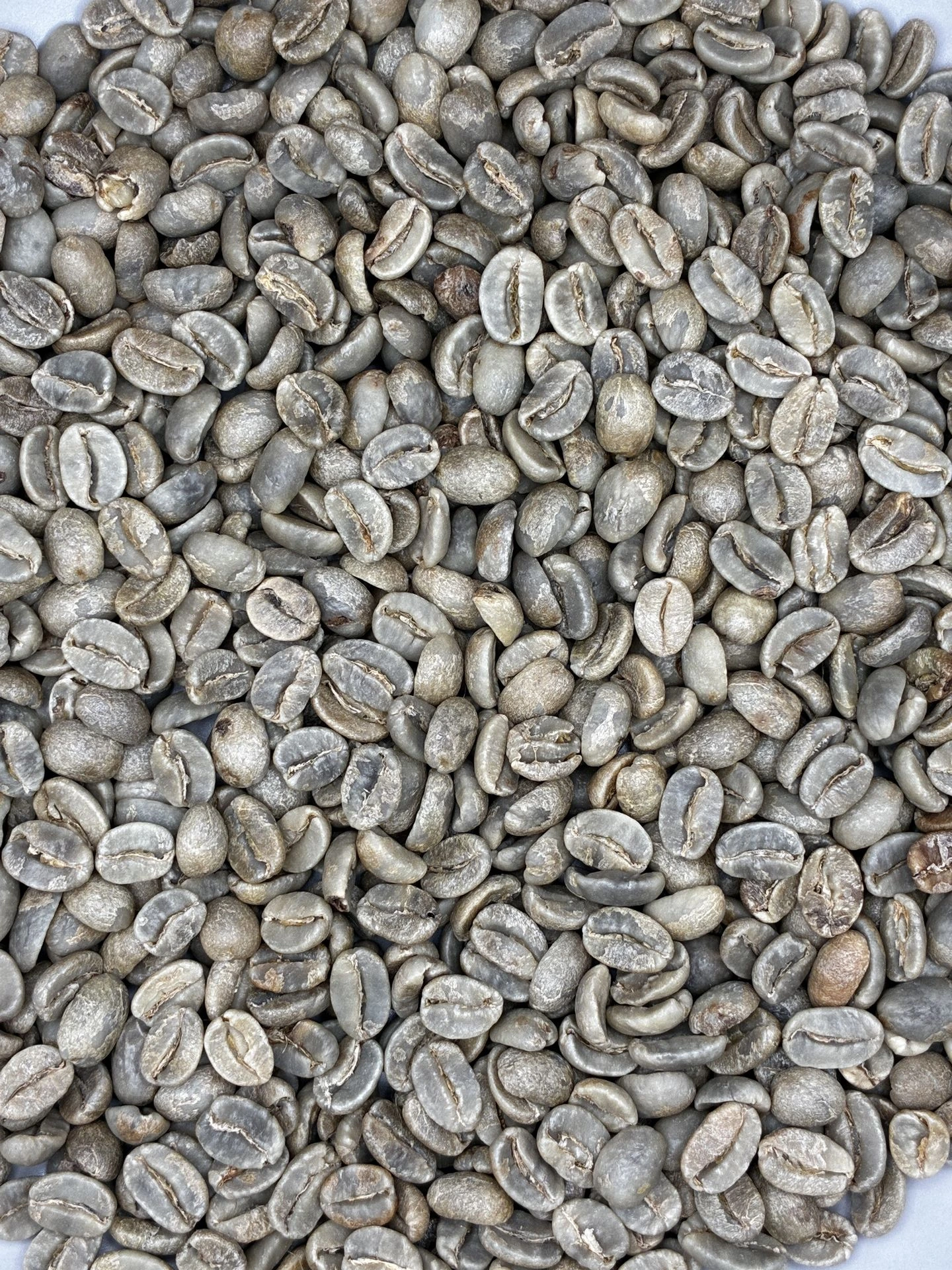 Natural Ugandan Arabica Grade AA [ZB2AAA]